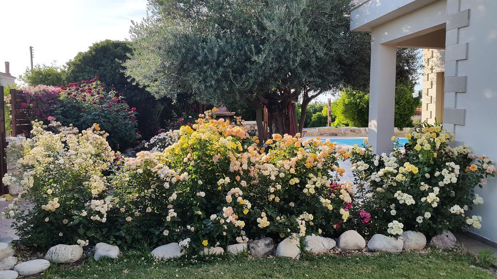 ארגאקה Jaime Villa Cyprus מראה חיצוני תמונה