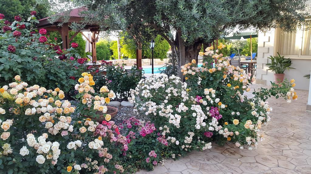 ארגאקה Jaime Villa Cyprus מראה חיצוני תמונה